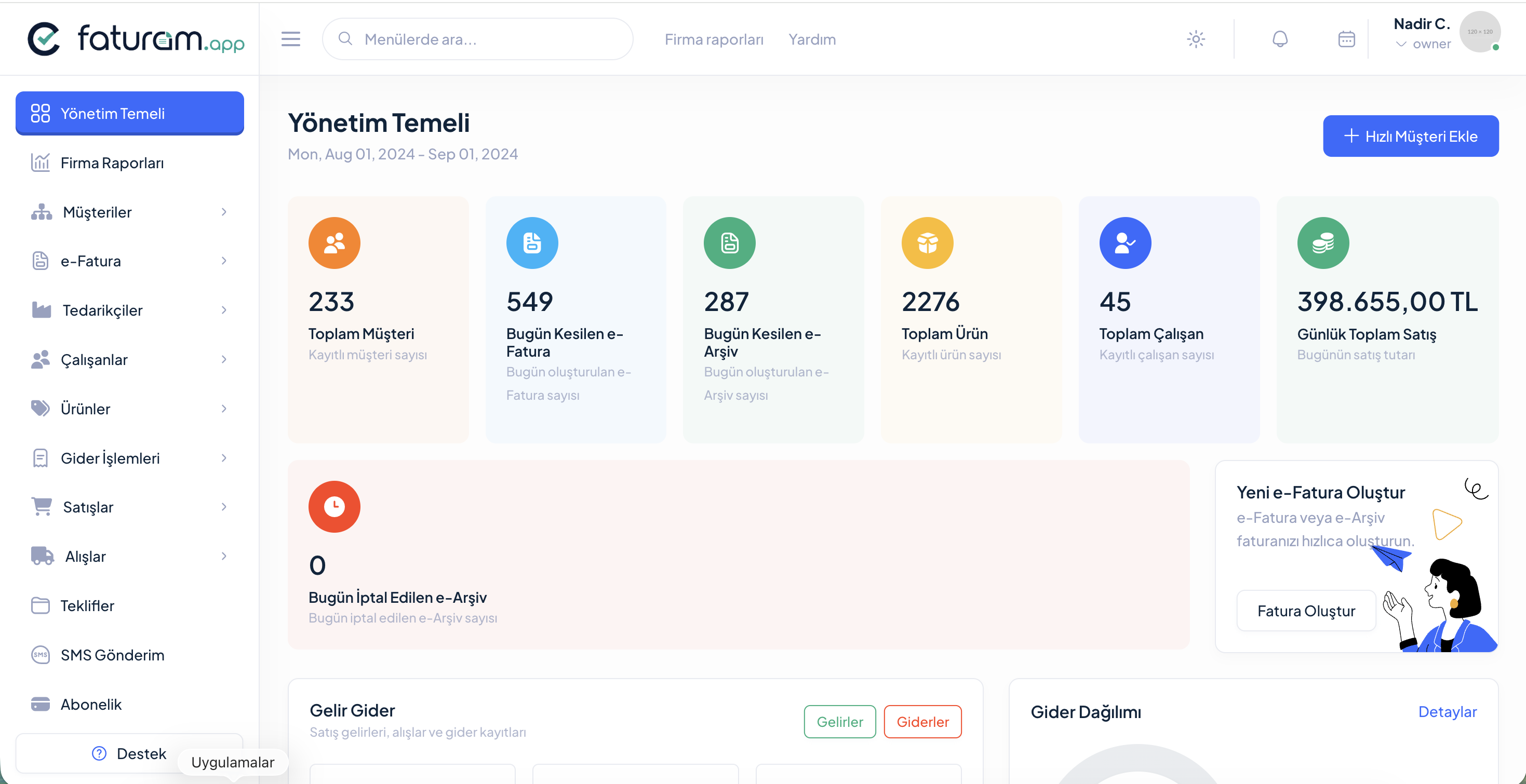 efaturam.app yönetim paneli görseli